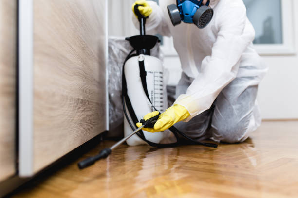 Best Residential Pest Control  in Trenton, FL