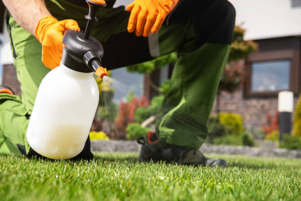 Best Emergency Pest Control  in Trenton, FL