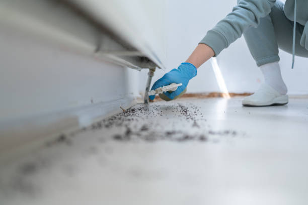 Best Best Pest Control Companies  in Trenton, FL